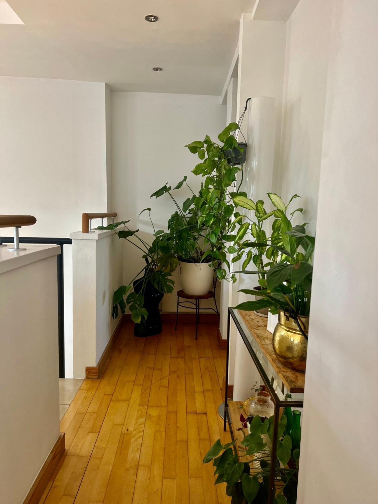 Appartamento Huge Duplex Loft With Sauna In *